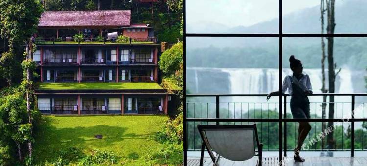 热带雨林度假村(Rainforest)图片