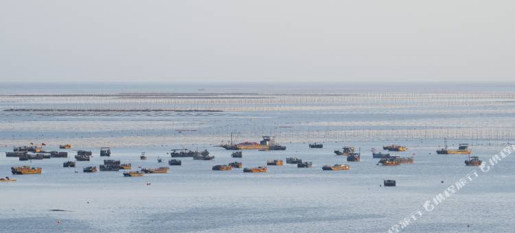 霞浦一山半海民宿图片