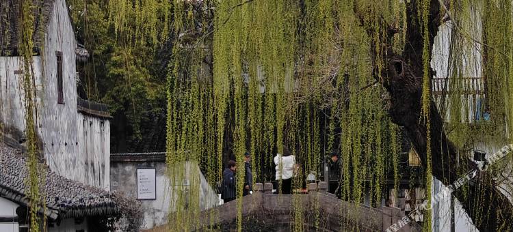 芯不染尘养生民宿(周庄古镇店)图片