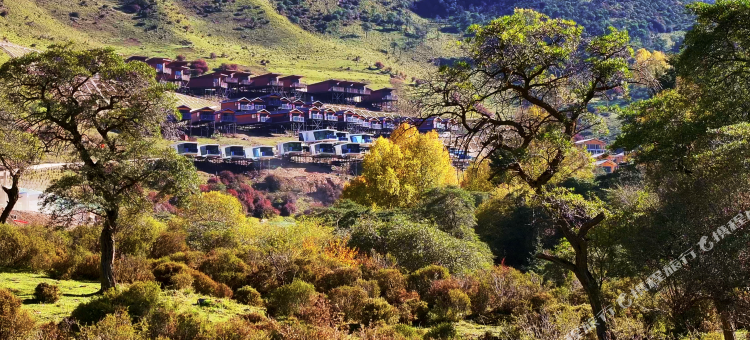 西宁云上群加金陵山水酒店图片