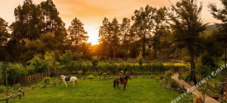 椿山雪・日照金山・田园牧场度假酒店Mountain Spring(白沙古镇店)图片