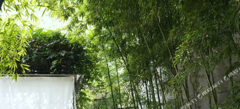 洛山居·陶艺家美学·旅居小院(景德镇三宝国际陶艺村店)图片