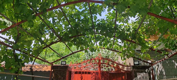 伊宁县亲禾居庭院民宿图片