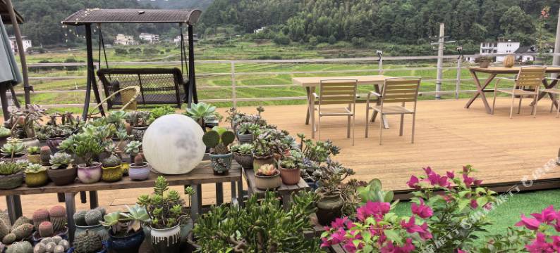 崀山八角寨稻田民宿图片