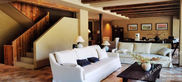 四姑娘山绿绒蒿MECONOPSIS金山庄园图片