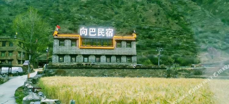 向巴民宿图片
