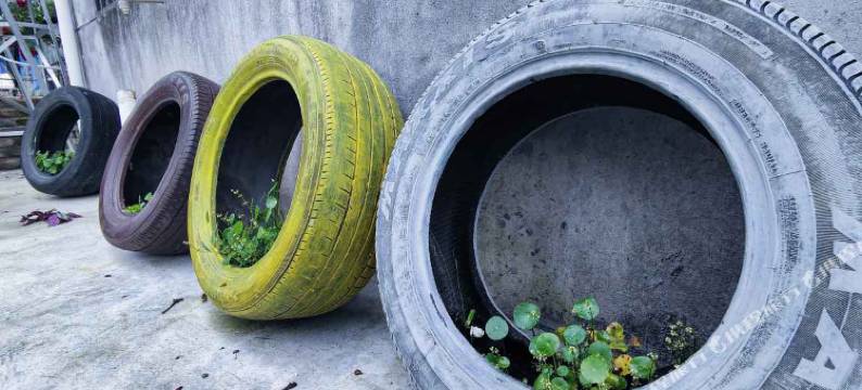 永康大陈春花小院民宿图片