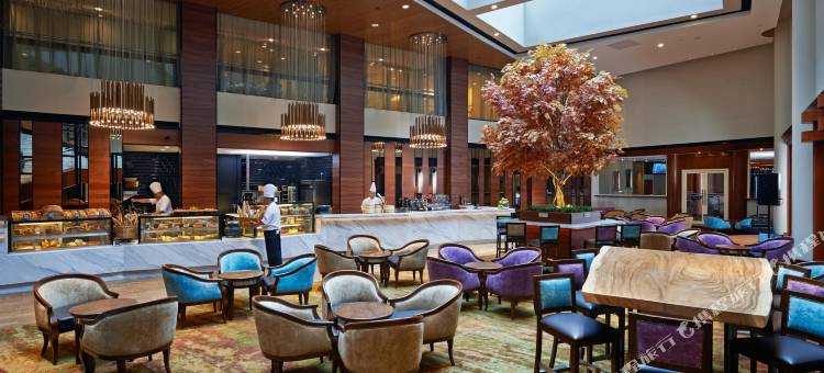 吉隆坡凯煌酒店(Concorde Hotel Kuala Lumpur)图片