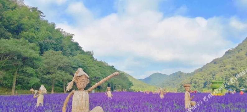 广州从化温泉别墅明月山溪浪漫度假四合院图片