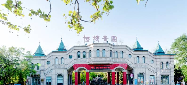 秦皇岛乖乖妈妈民宿图片