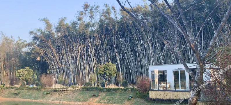 广州迳下别院图片