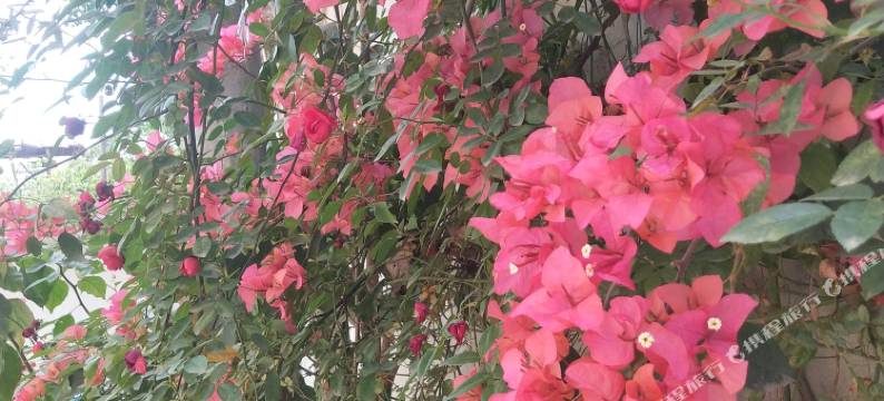 龙玺商务酒店(天府国际机场店)图片