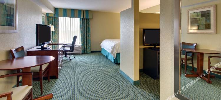 奥兰多度假村 - 莱克布埃纳维斯塔假日酒店(Holiday Inn Resort Orlando - Lake Buena Vista)图片