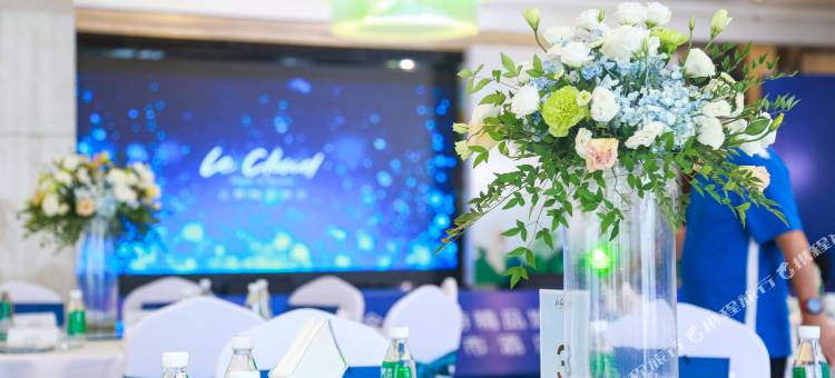 平武云野城市酒店图片