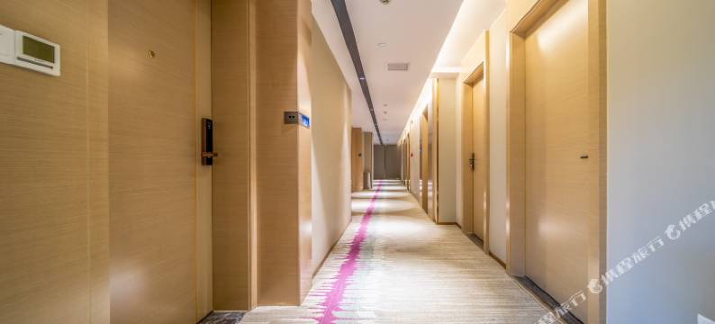 麗枫酒店(长沙四方坪地铁站店)图片