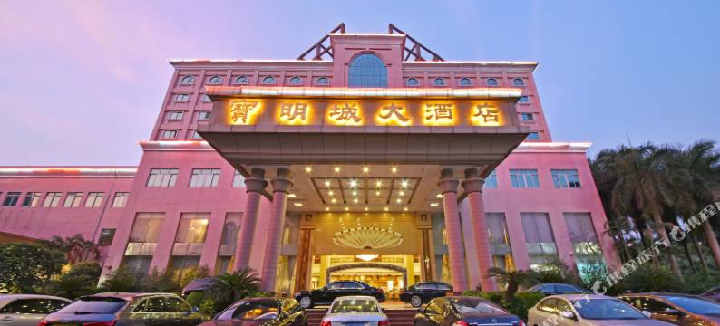 深圳宝明城大酒店(红花山体育中心店)图片