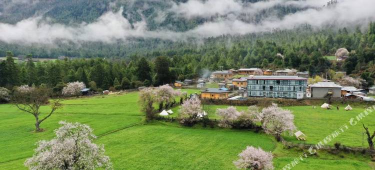 波密灵溪山居(岗云杉林店)图片