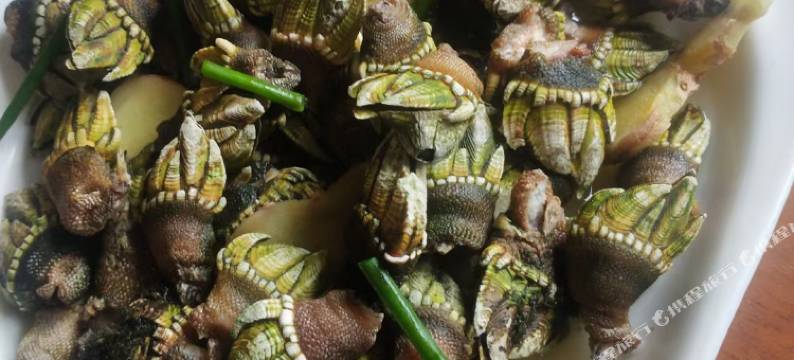 象山悦来客栈图片