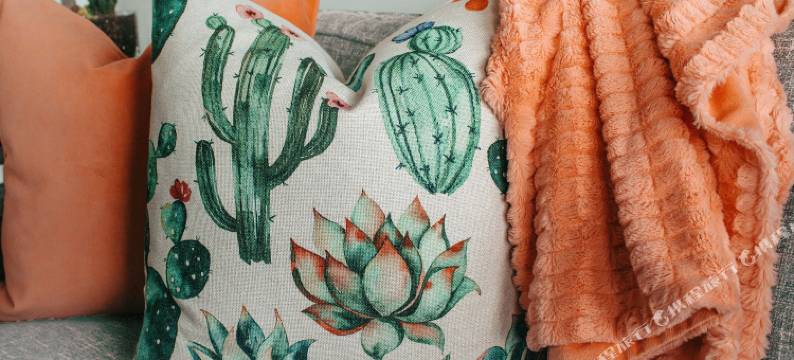 赣州艺海青年旅行社图片