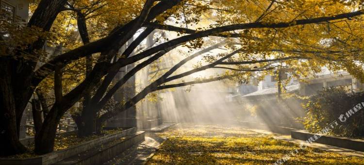 腾冲一画·精品民宿图片