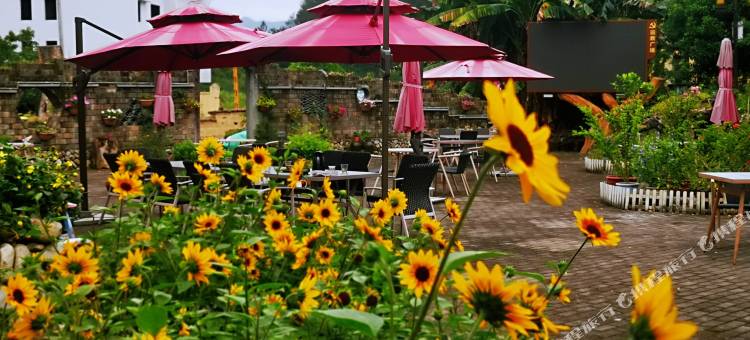 云和拾花民宿图片