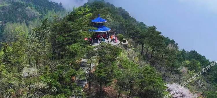 庐山风景区雲庐莲心居民宿图片
