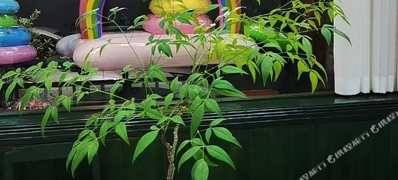 桐庐悦赢楼图片