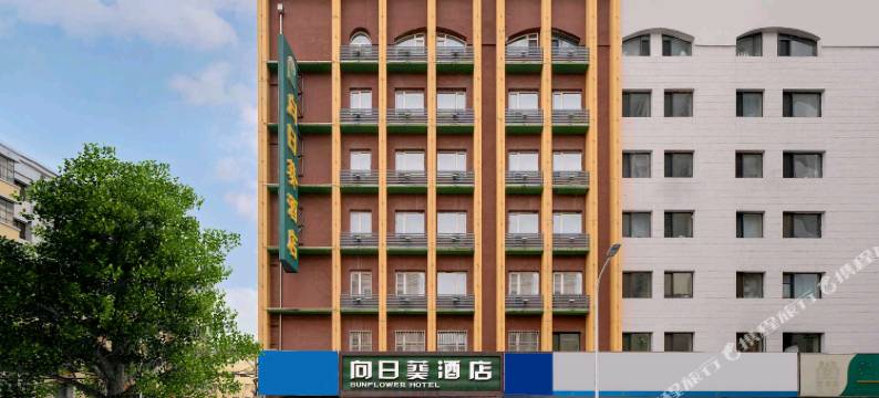 哈尔滨向日葵酒店(中央大街索菲亚教堂店)图片