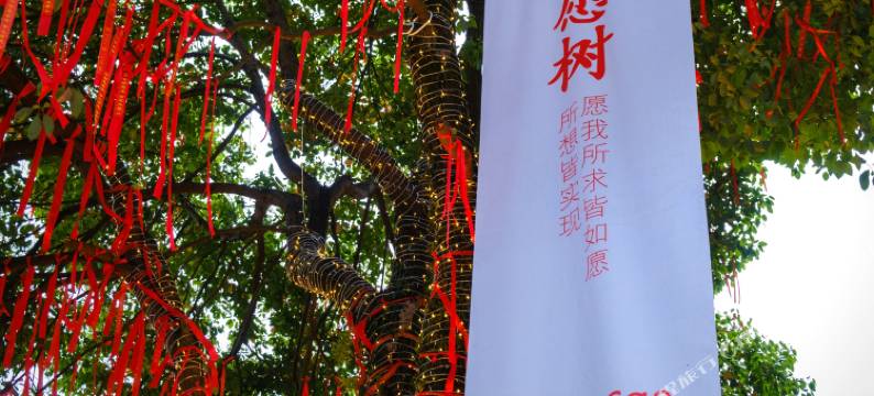 RelaxCan丽宽汤泉酒店(峨眉山风景区报国寺店)图片