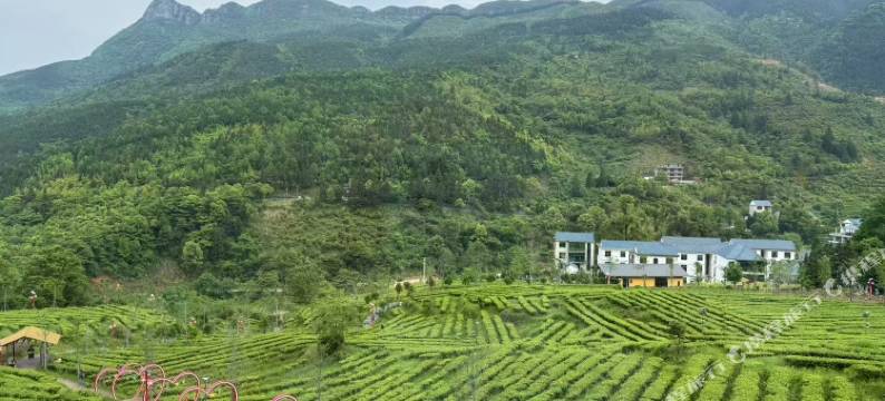 云深知处民宿(贺子珍故居店)图片