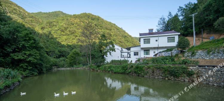 隐居乡里左手香民宿图片