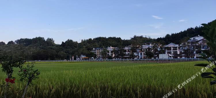 巴马静远山居(盘阳河|百鸟岩景区店)图片