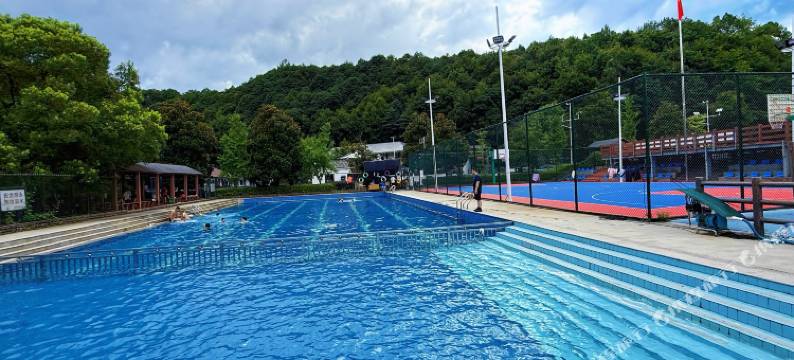 杭州银杏民宿图片