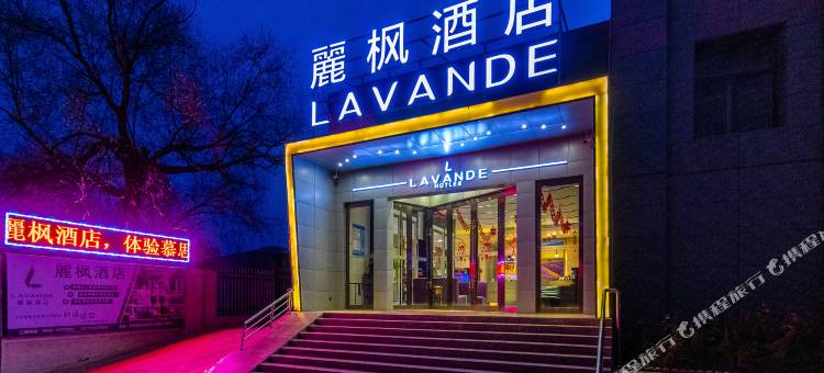 麗枫酒店(甘谷冀城广场店)图片