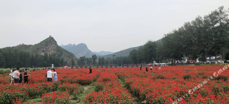 百里画廊长聚园民宿图片