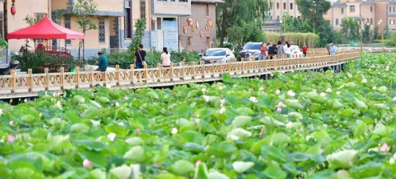 抚仙湖汐棱院客栈图片