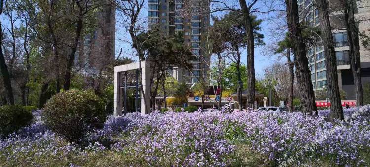 兴城一等海海天一色公寓图片