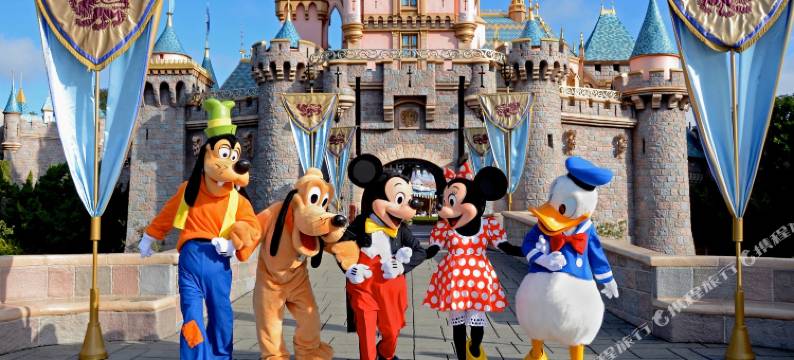 上海悦洱商务酒店(南汇大学城店)图片