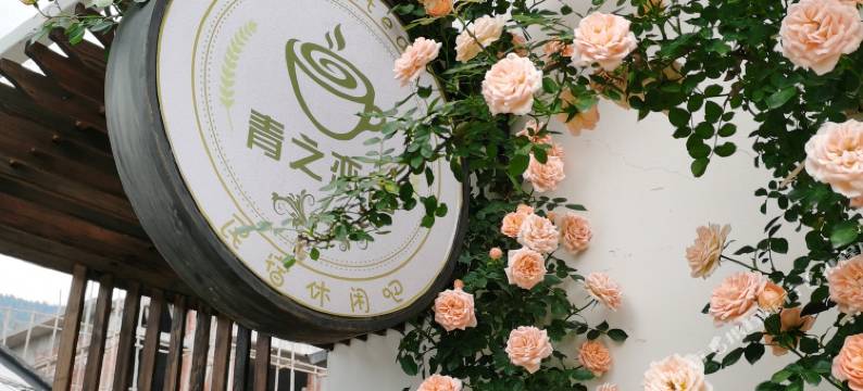 安吉青之恋舍民宿图片