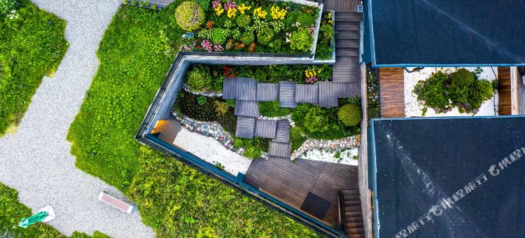 那拉提乌孙杉云居图片