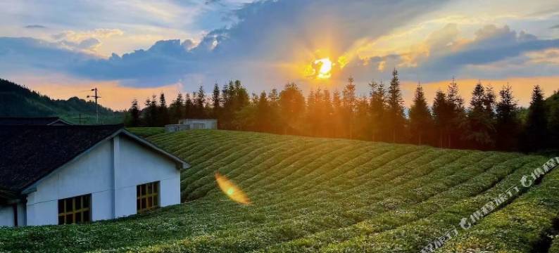 黎平龙形冲TEATEL茶主题民宿图片