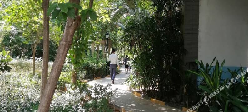 小雨有家公寓(滨河大道1号分店)图片