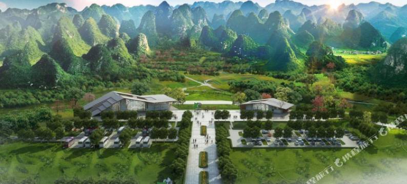 白头叶猴公寓图片