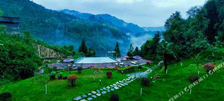 202村温泉民宿图片