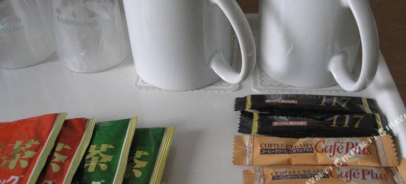 成田U-城市酒店(Narita U-City Hotel)图片