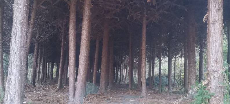 神农谷家家乐休闲山庄图片
