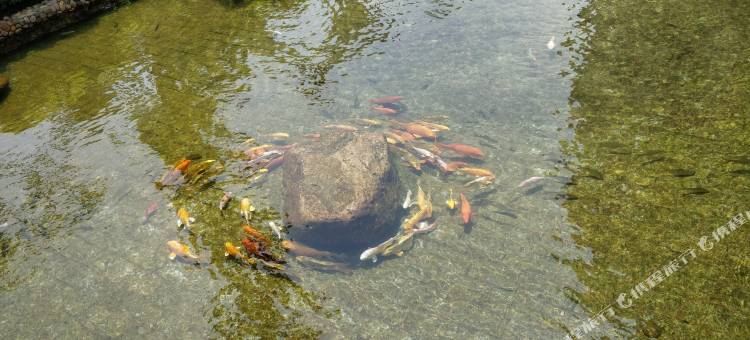 南澳栖筑民宿(海泉湾店)图片