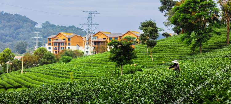 朋来合院客栈(普洱茶小镇店)图片