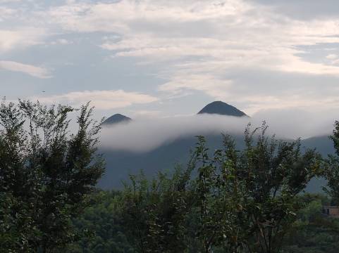 南山竹海东篱上舍民宿图片