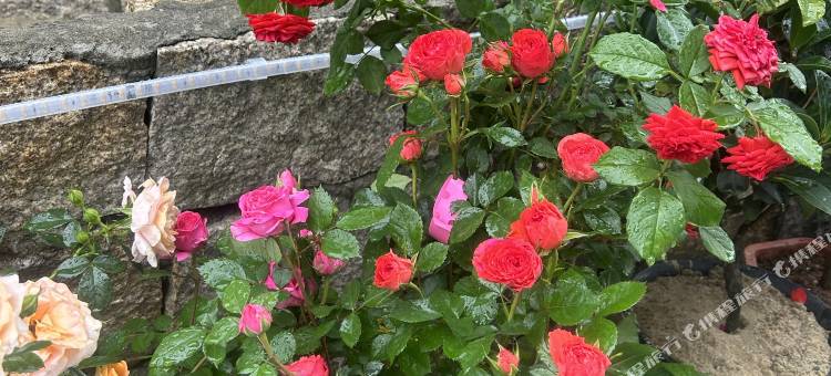 平潭刘家客栈(坛南湾店)图片